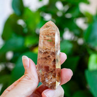 Amphibole Quartz Point Specimen, Bahia Brazil