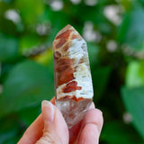 Amphibole Quartz Point Specimen, Bahia Brazil