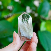 Amphibole Quartz Point Specimen, Bahia Brazil