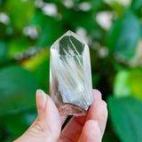 Amphibole Quartz Point Specimen, Bahia Brazil
