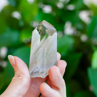 Amphibole Quartz Point Specimen, Bahia Brazil