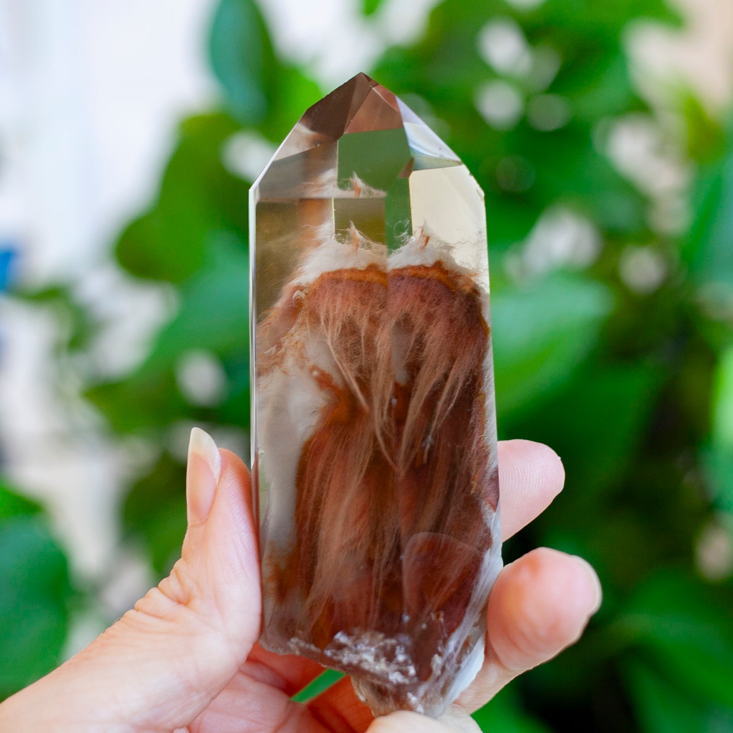 Amphibole Quartz Point Specimen, Bahia Brazil