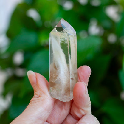 Amphibole Quartz Point Specimen, Bahia Brazil