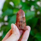 Amphibole Quartz Point Specimen, Bahia Brazil
