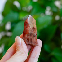 Amphibole Quartz Point Specimen, Bahia Brazil