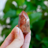 Amphibole Quartz Point Specimen, Bahia Brazil