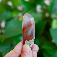 Amphibole Quartz Point Specimen, Bahia Brazil