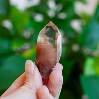 Amphibole Quartz Point Specimen, Bahia Brazil