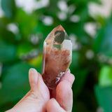 Amphibole Quartz Point Specimen, Bahia Brazil