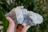 High Quality Apophyllite Crystal, Jalgaon