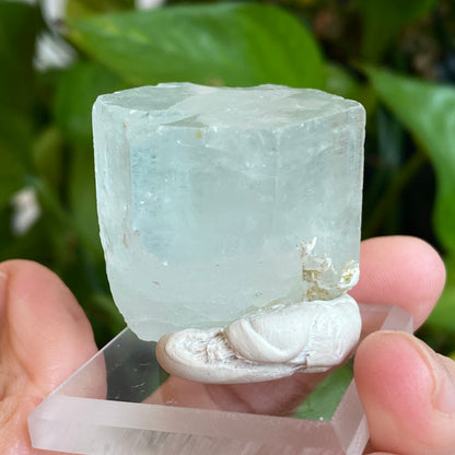 Aquamarine, Nagar