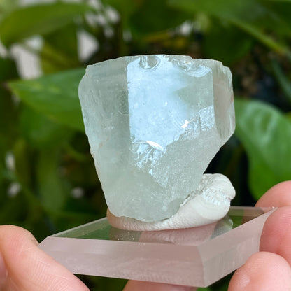 Aquamarine, Nagar