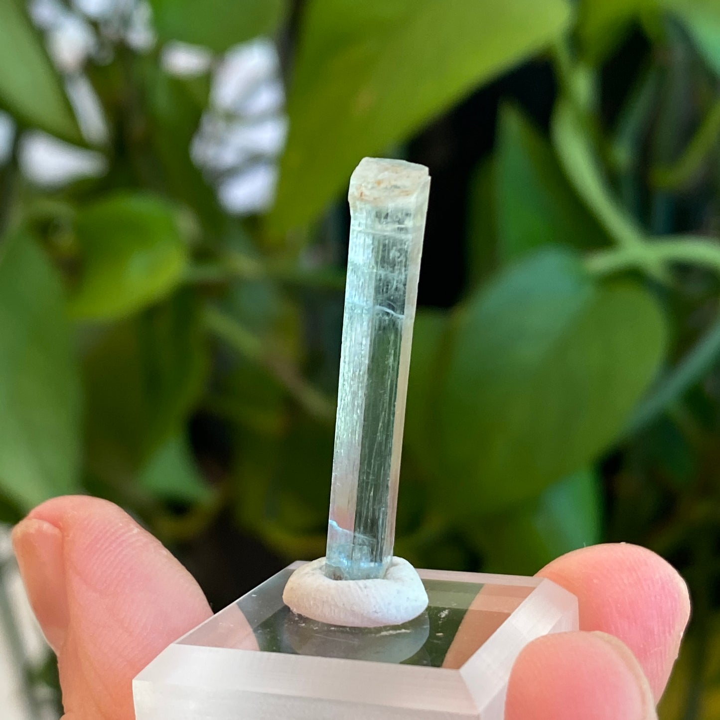 Aquamarine Crystal, Awkwanda, Nigeria