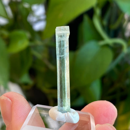 Aquamarine Crystal, Awkwanda, Nigeria