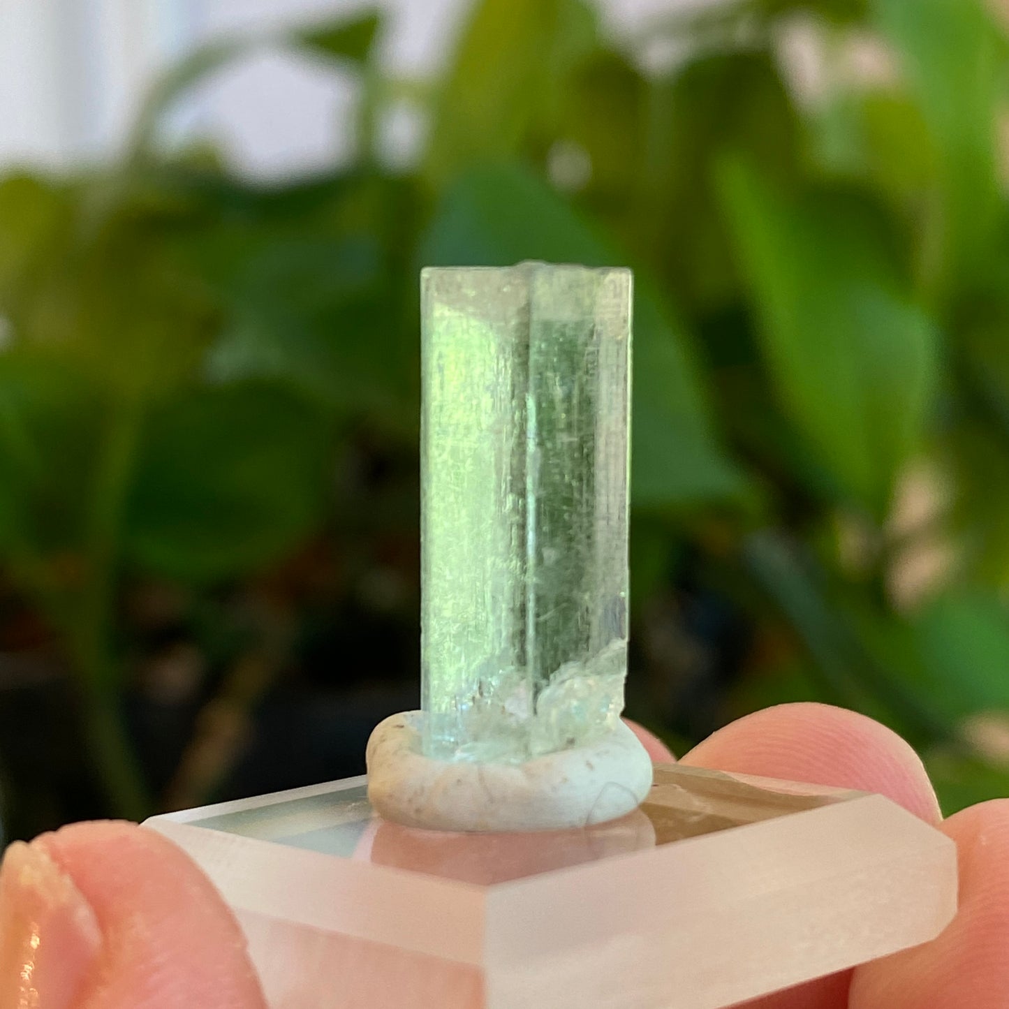 Aquamarine Crystal, Awkwanda, Nigeria