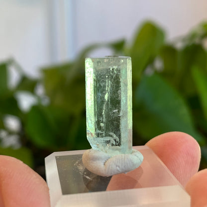 Aquamarine Crystal, Awkwanda, Nigeria