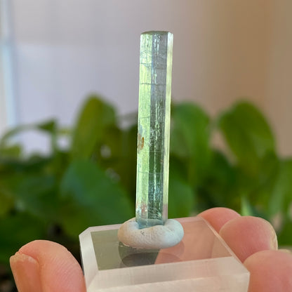 Aquamarine Crystal, Awkwanda, Nigeria