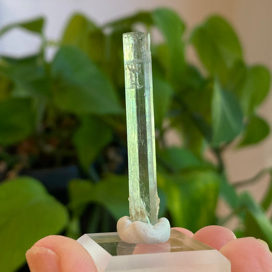 Aquamarine Crystal, Awkwanda, Nigeria