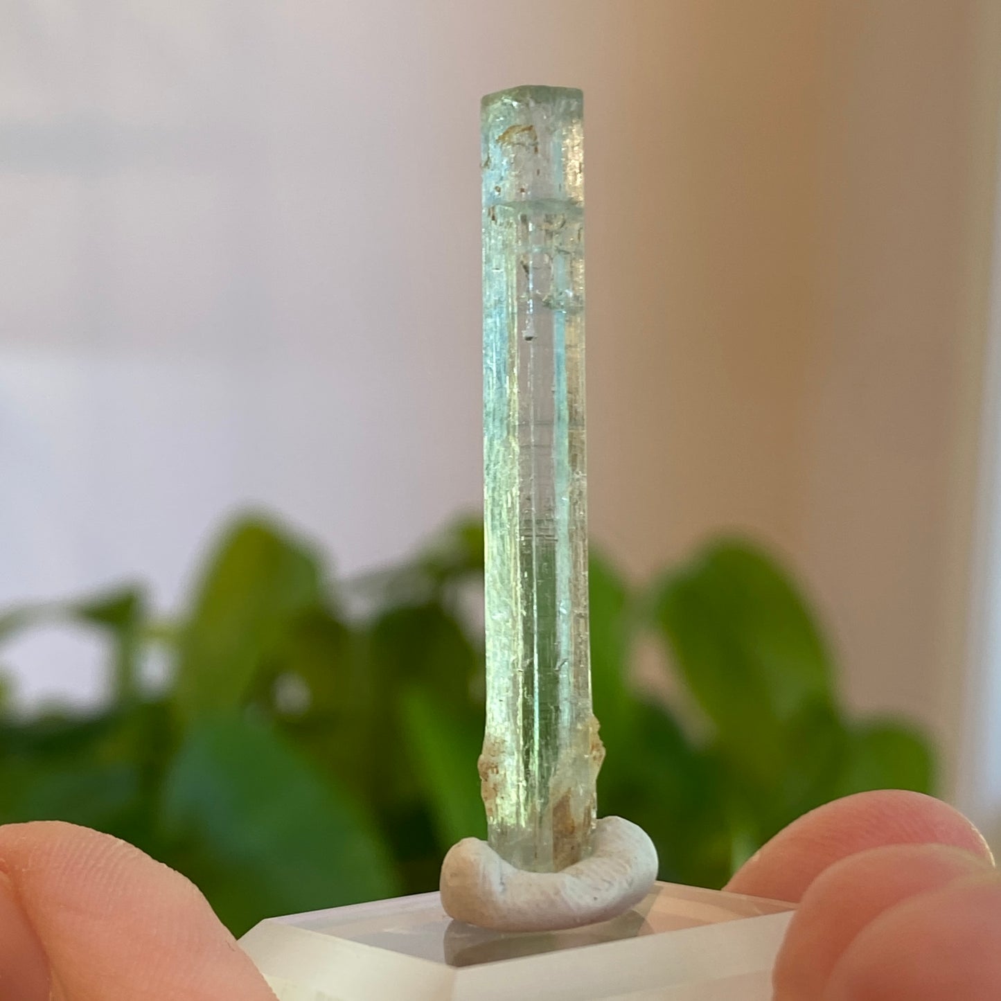 Aquamarine Crystal, Awkwanda, Nigeria