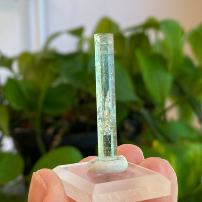 Aquamarine Crystal, Awkwanda, Nigeria