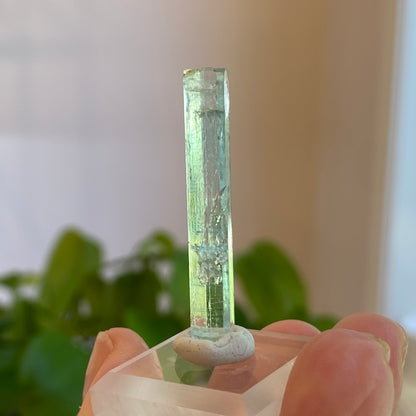 Aquamarine Crystal, Awkwanda, Nigeria