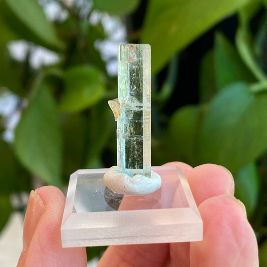 Aquamarine Crystal, Awkwanda, Nigeria