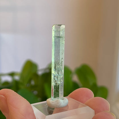 Aquamarine Crystal, Awkwanda, Nigeria