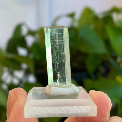 Aquamarine Crystal, Awkwanda, Nigeria