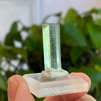 Aquamarine Crystal, Awkwanda, Nigeria