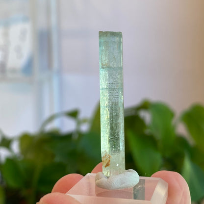 Aquamarine Crystal, Awkwanda, Nigeria