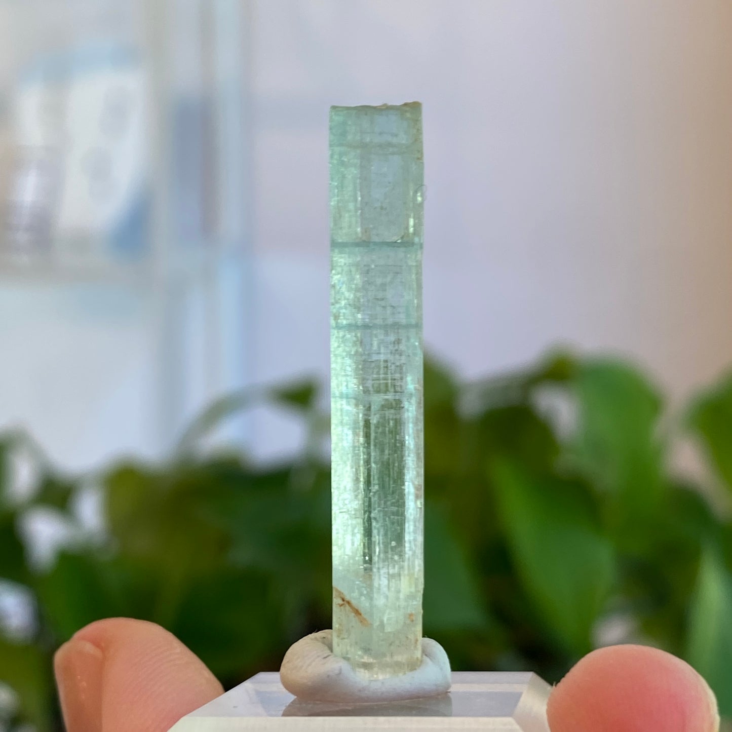 Aquamarine Crystal, Awkwanda, Nigeria