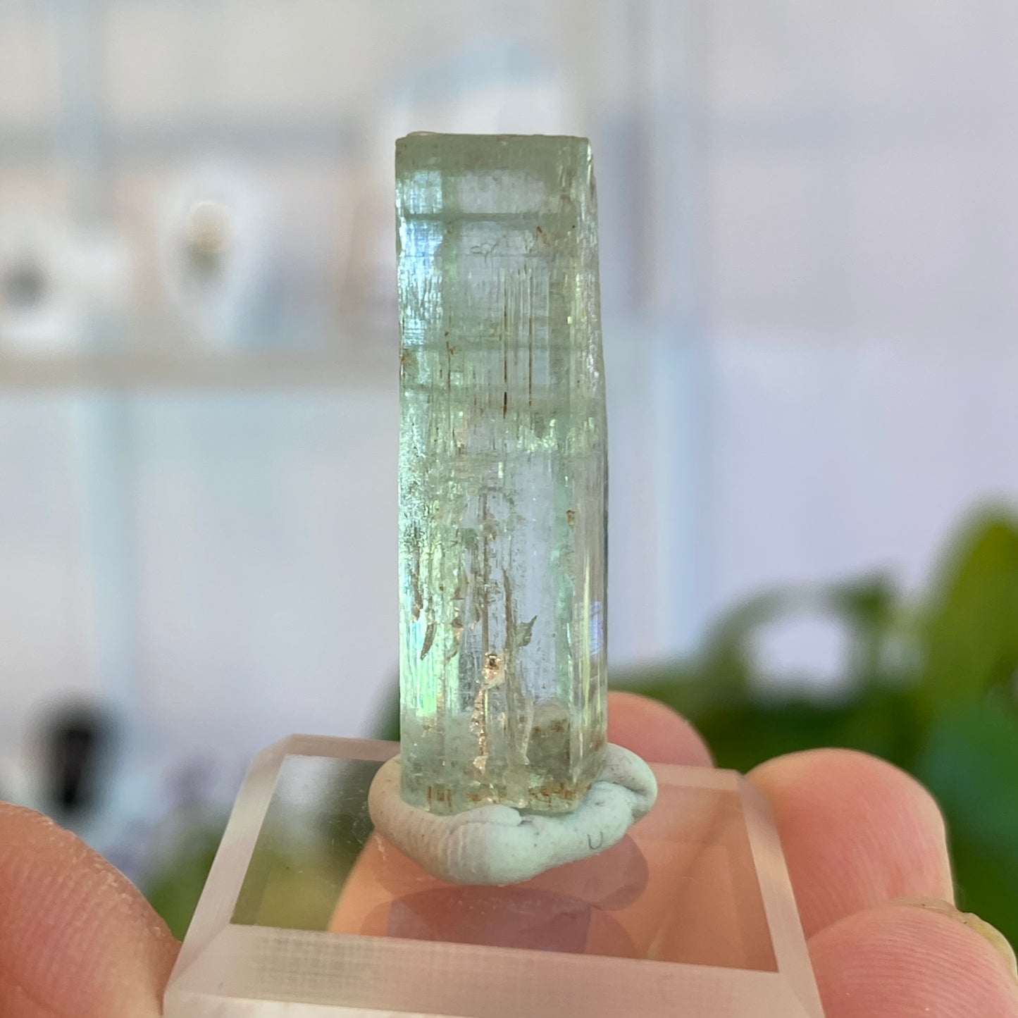 Aquamarine Crystal, Awkwanda, Nigeria