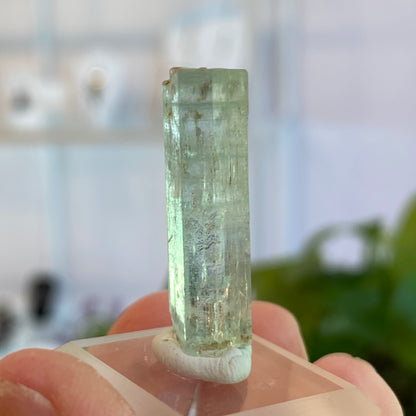 Aquamarine Crystal, Awkwanda, Nigeria