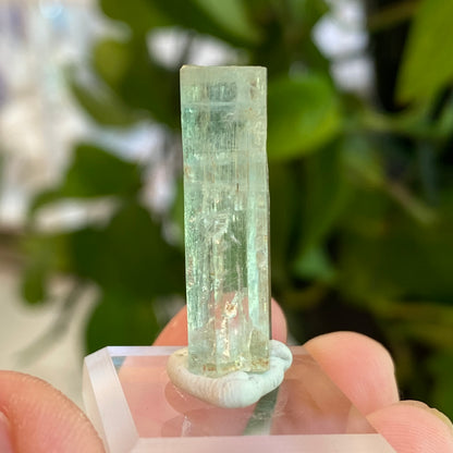 Aquamarine Crystal, Awkwanda, Nigeria