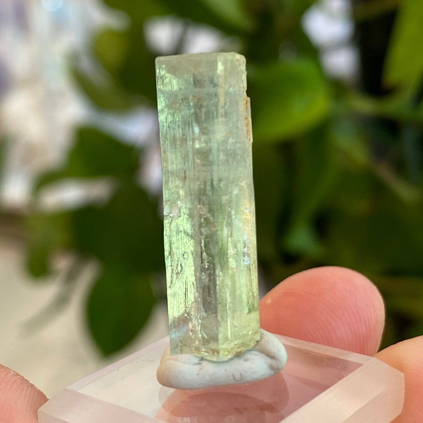 Aquamarine Crystal, Awkwanda, Nigeria