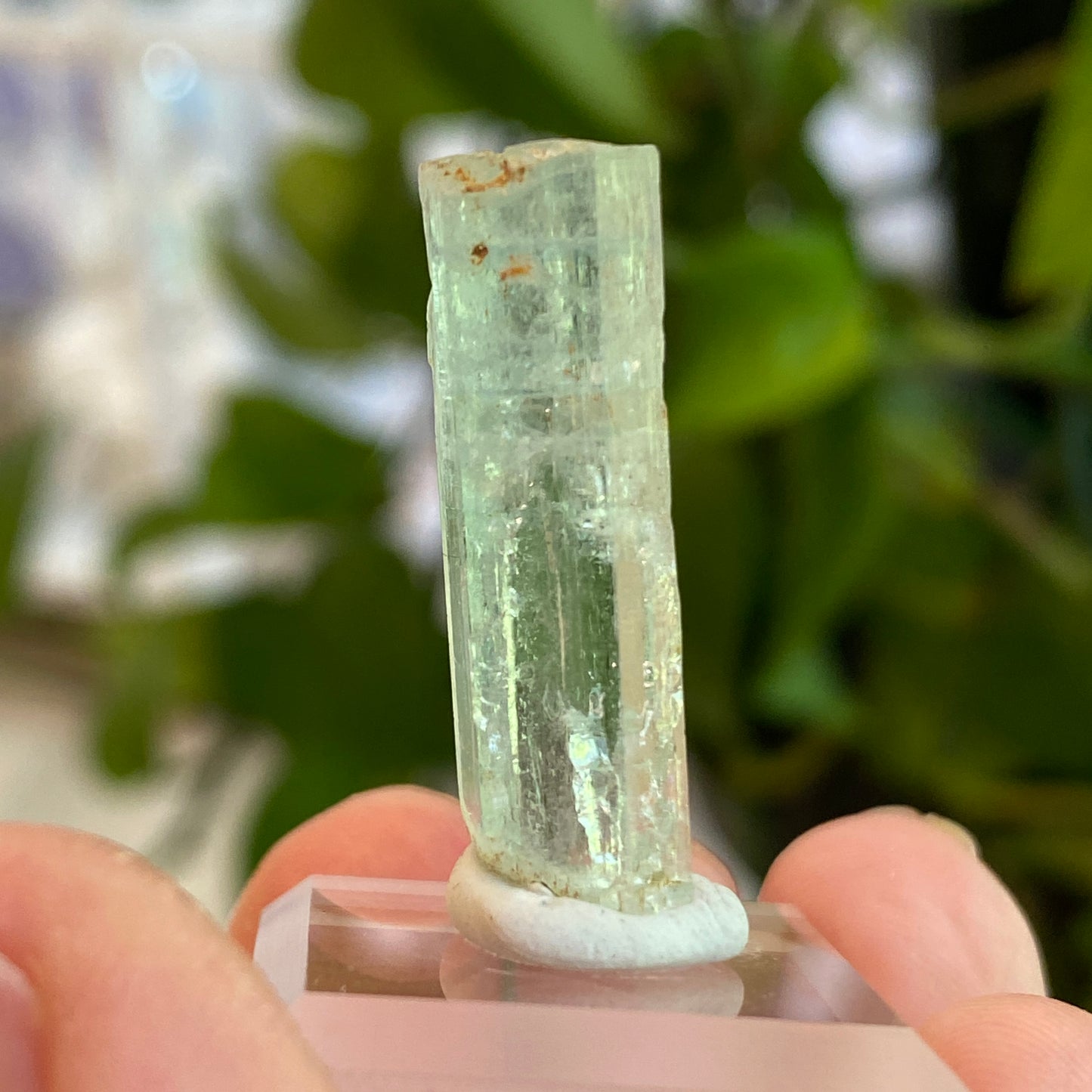 Aquamarine Crystal, Awkwanda, Nigeria