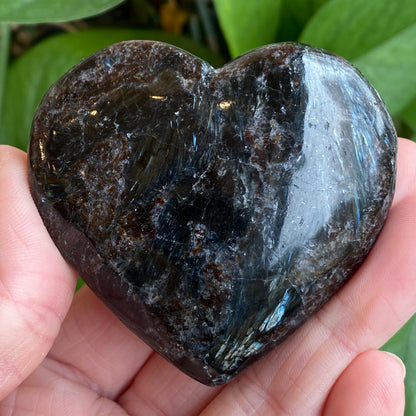 Arfvedsonite Heart with Garnet