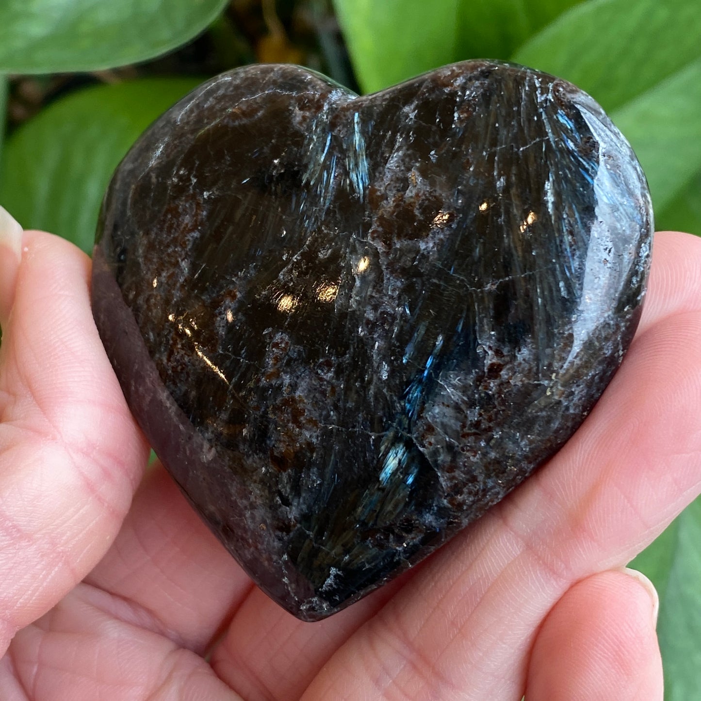 Arfvedsonite Heart with Garnet