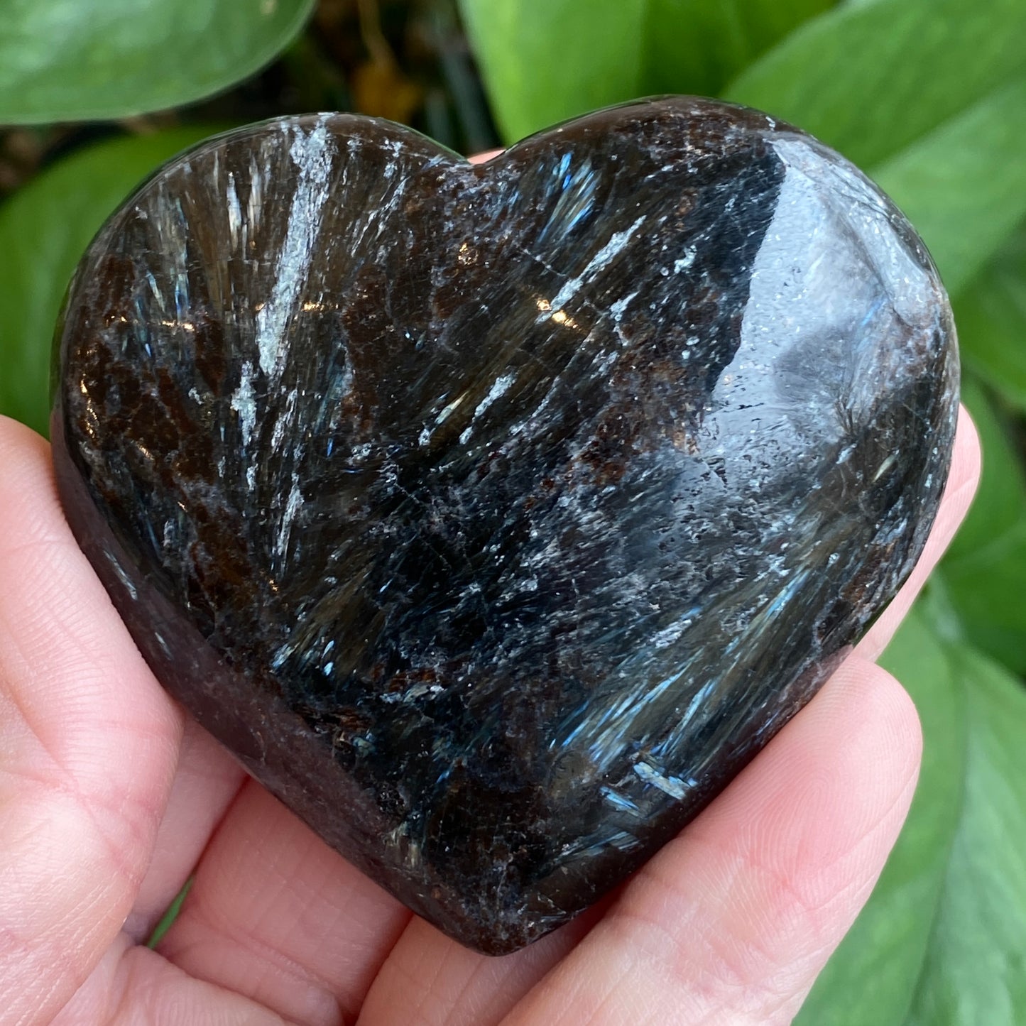 Arfvedsonite Heart with Garnet