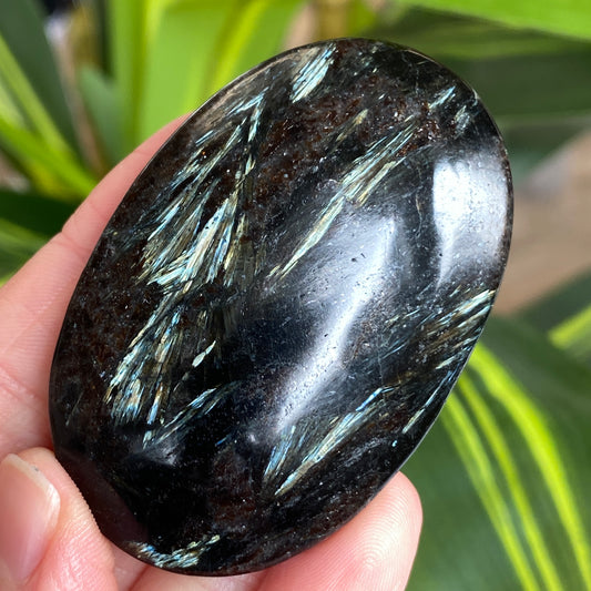 Arfvedsonite Palm Stone