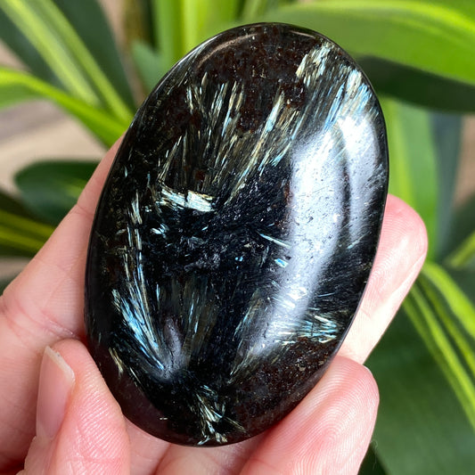 Arfvedsonite Palm Stone