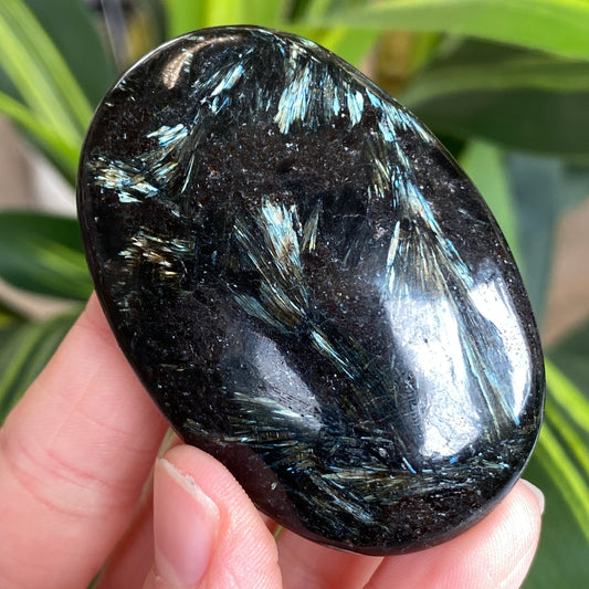 Arfvedsonite Palm Stone