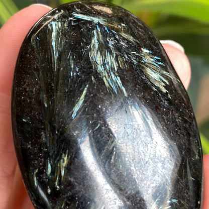 Arfvedsonite Palm Stone