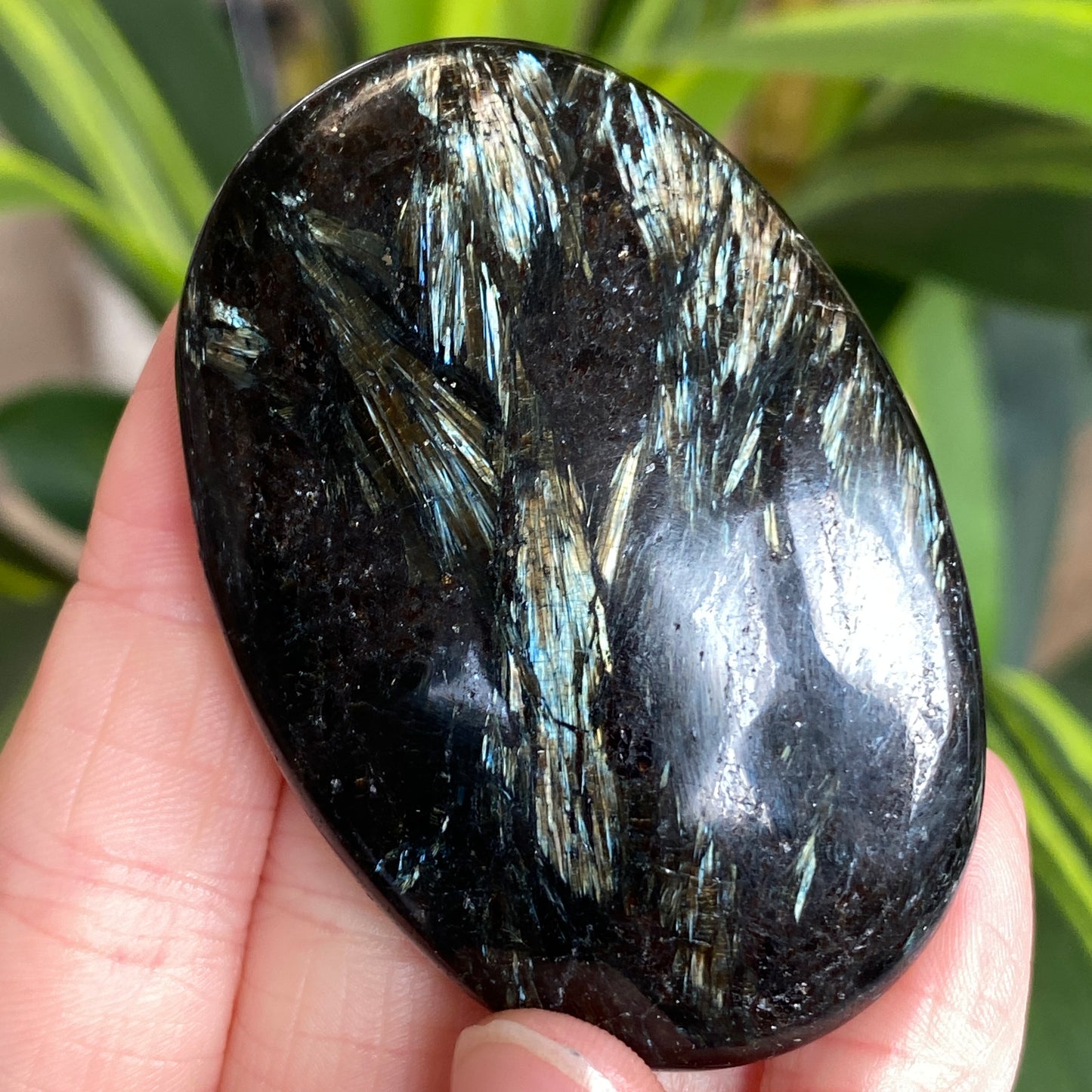 Arfvedsonite Palm Stone