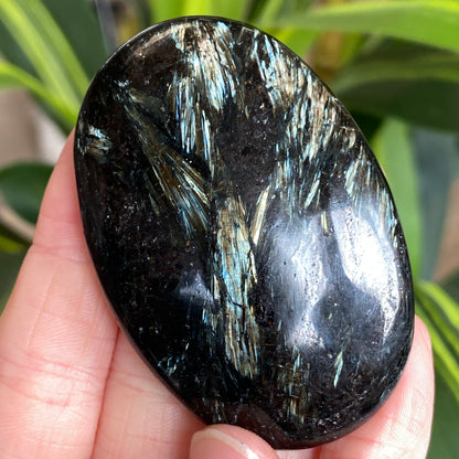 Arfvedsonite Palm Stone
