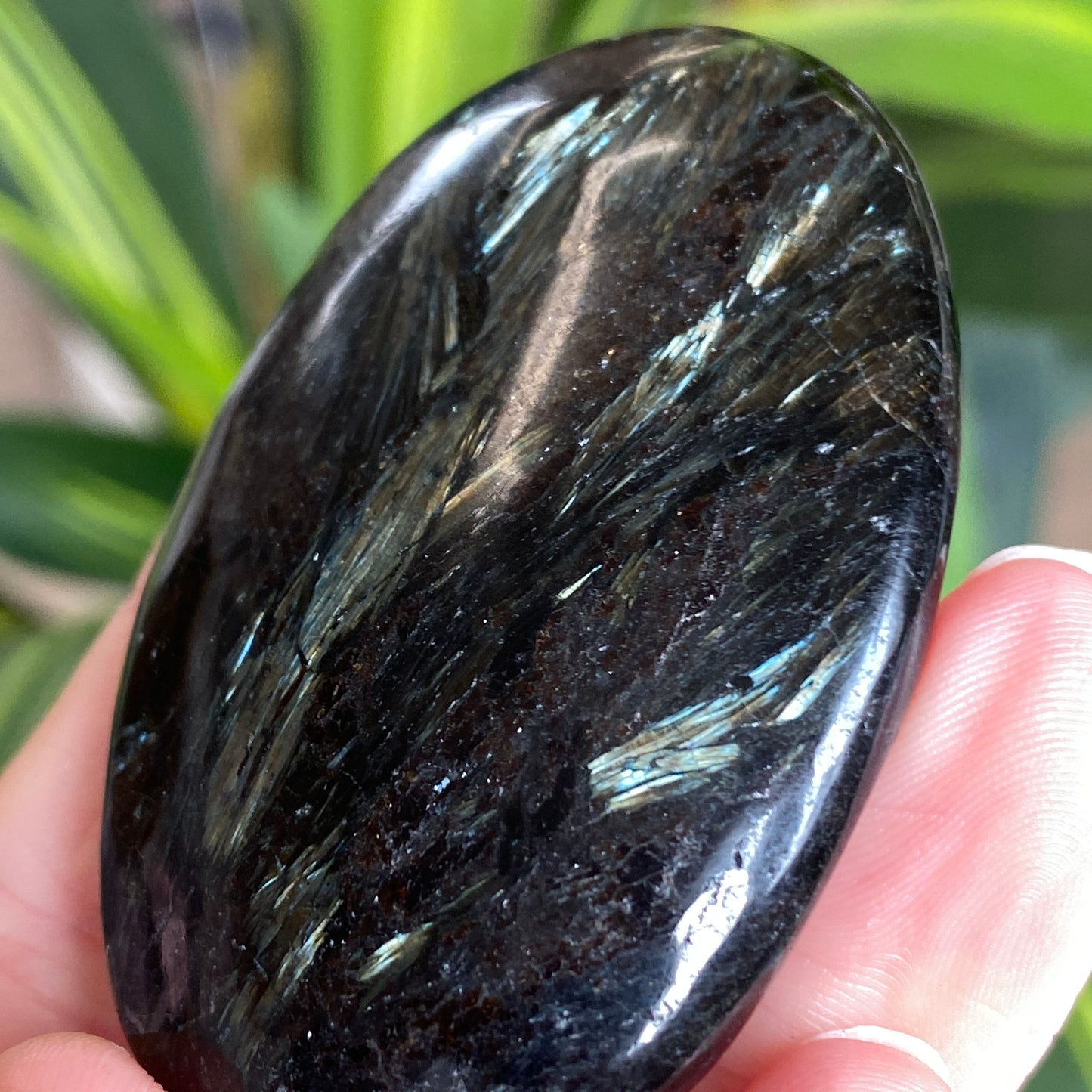 Arfvedsonite Palm Stone