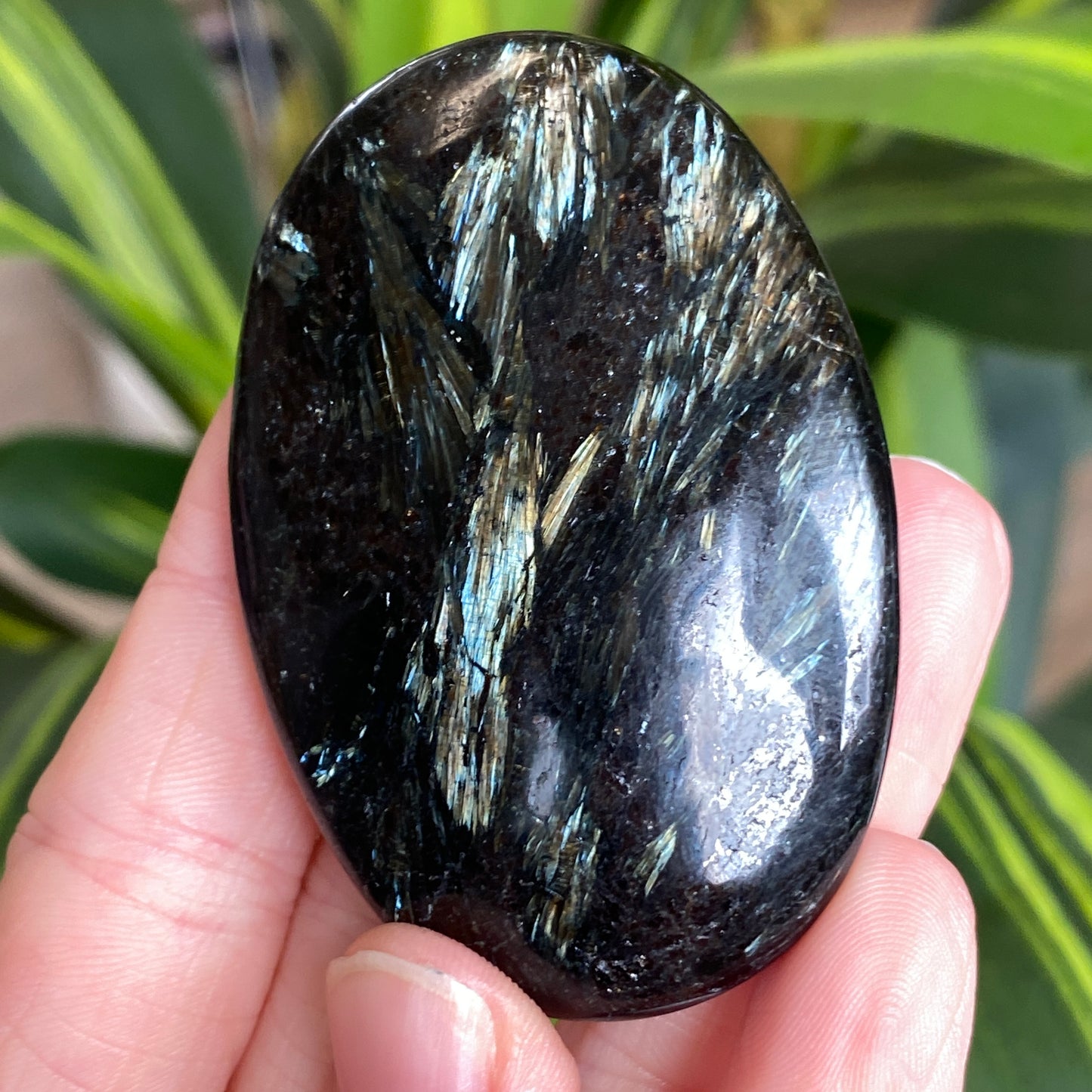 Arfvedsonite Palm Stone