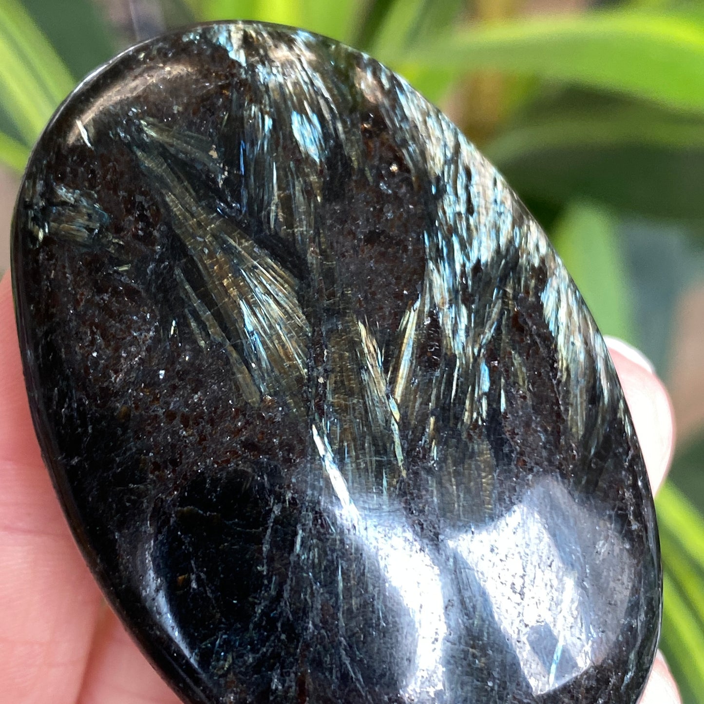 Arfvedsonite Palm Stone