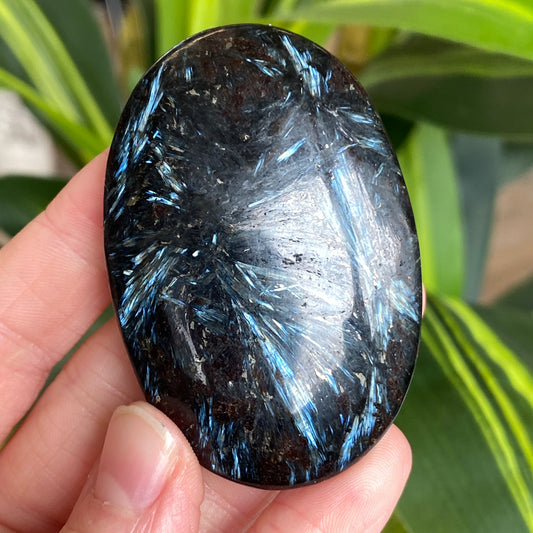 Arfvedsonite Palm Stone