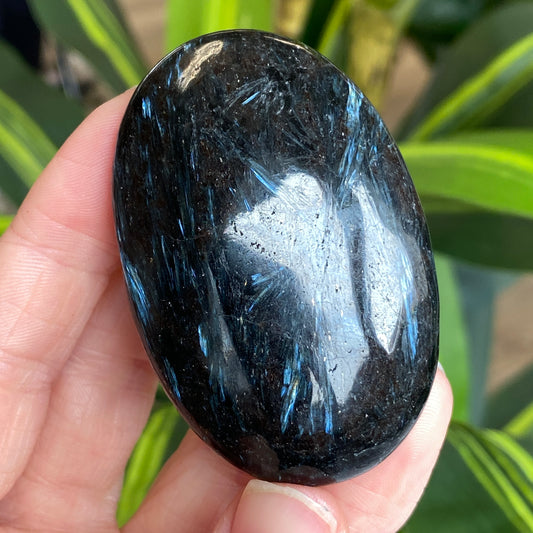 Arfvedsonite Palm Stone
